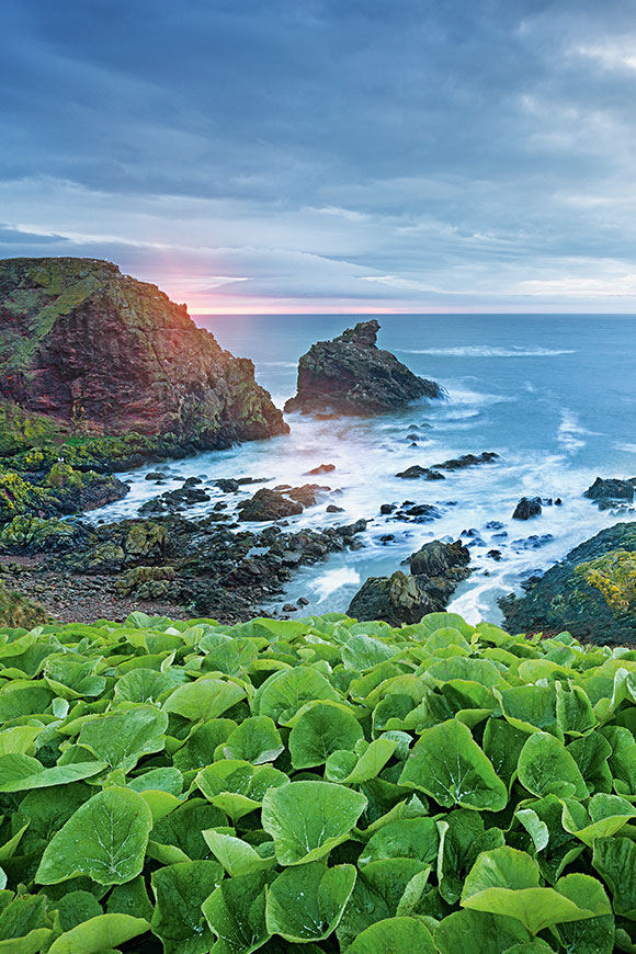Island_02 Island_02